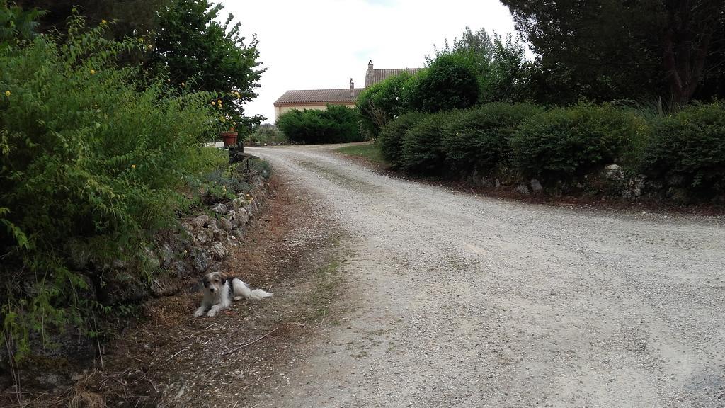 Maison D'Hotes Afrika Du Queyroux Ginestet Esterno foto